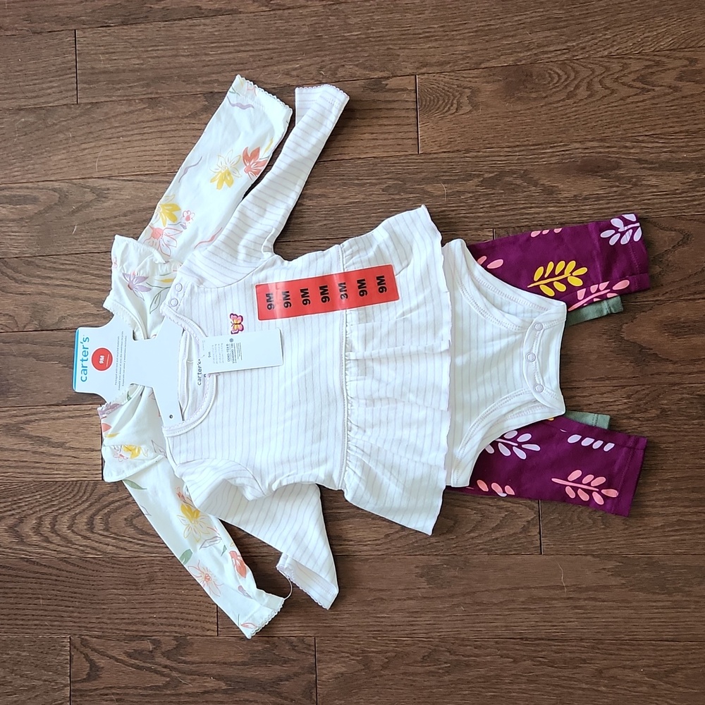 Carter's Girls Outfits - BNWT - Striped, Butterfly & Flowers Design - 9 Months